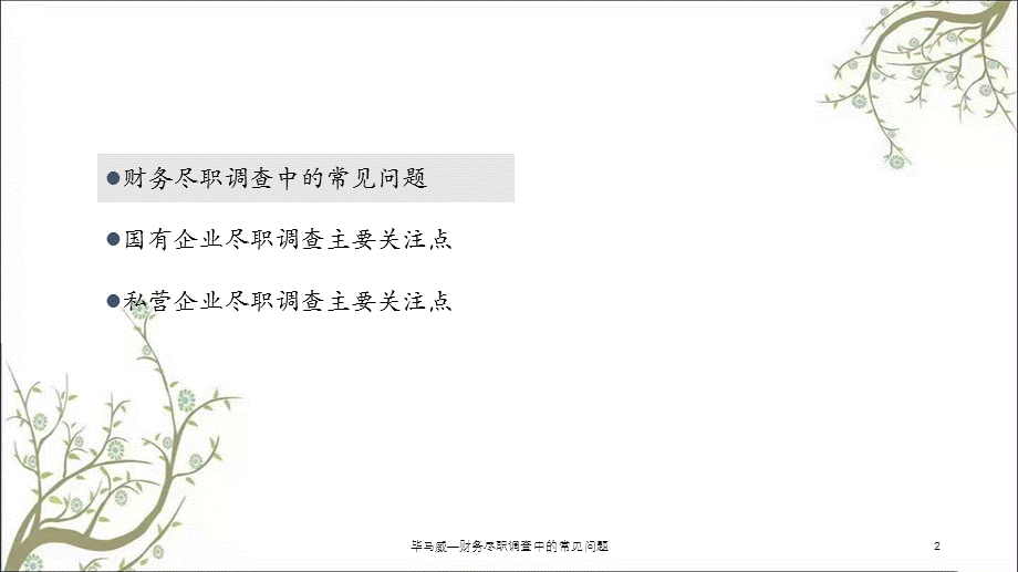 毕马威—财务尽职调查中的常见问题课件.ppt_第2页