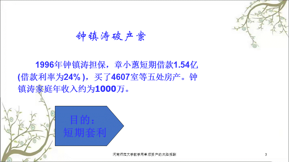 河南师范大学教学用单项资产的风险报酬课件.ppt_第3页