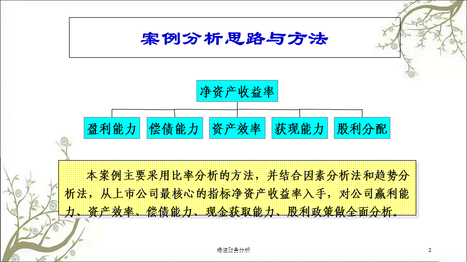 粮液财务分析课件.ppt_第2页