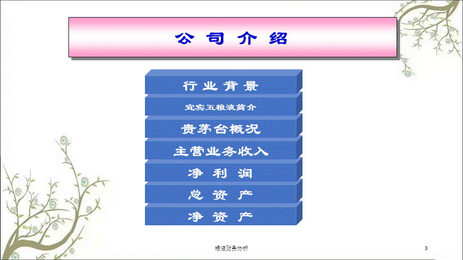 粮液财务分析课件.ppt_第3页