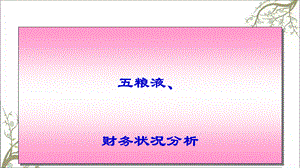 粮液财务分析课件.ppt