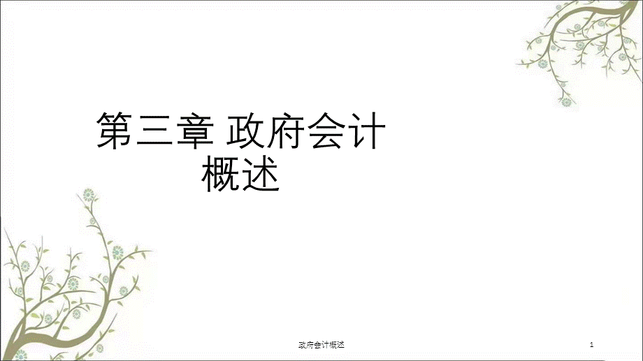 政府会计概述课件.ppt_第1页