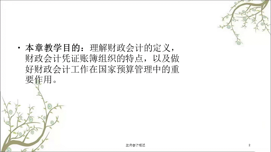 政府会计概述课件.ppt_第2页