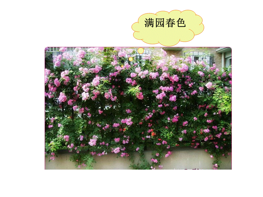 三年级上册语文——13花钟.ppt_第2页