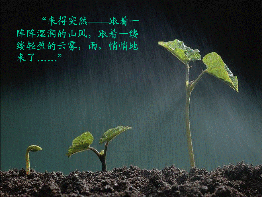 人教版六年级语文上册《山雨》PPT课件 (2).ppt_第2页