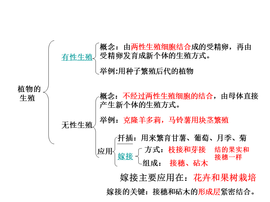 八年级下册第一章复习--wh.ppt_第2页