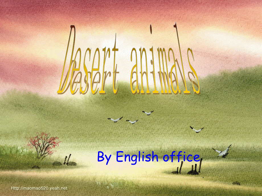 Desert animals.ppt_第1页