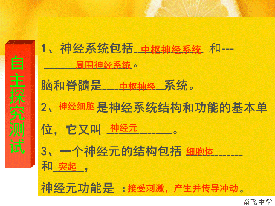 4.2第二节 信息的传递 课件 河北省南宫市奋飞中学冀少版生物七年级下册(共13张PPT).ppt_第3页