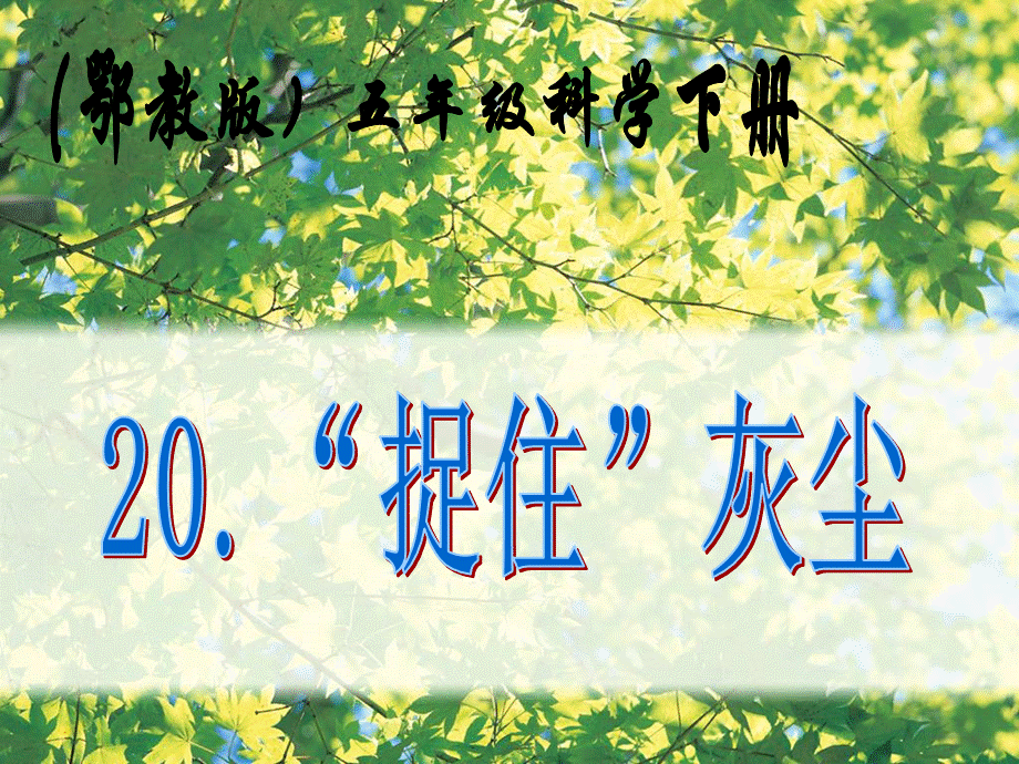 20五年级下册20《“捉住”灰尘》.ppt_第1页