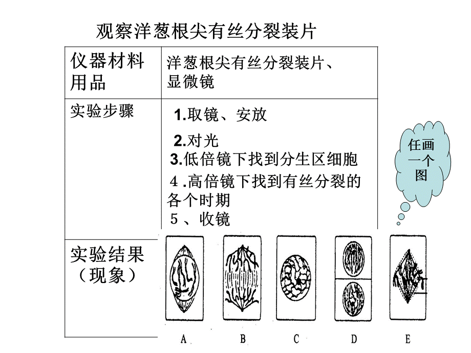 显微镜操作课件.ppt_第1页