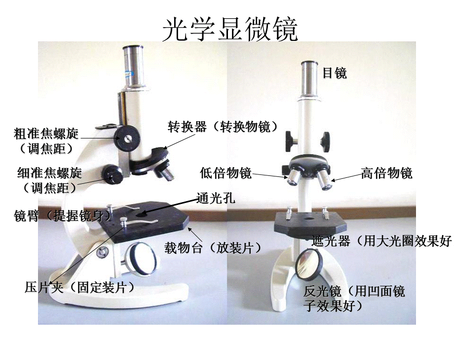 显微镜操作课件.ppt_第2页