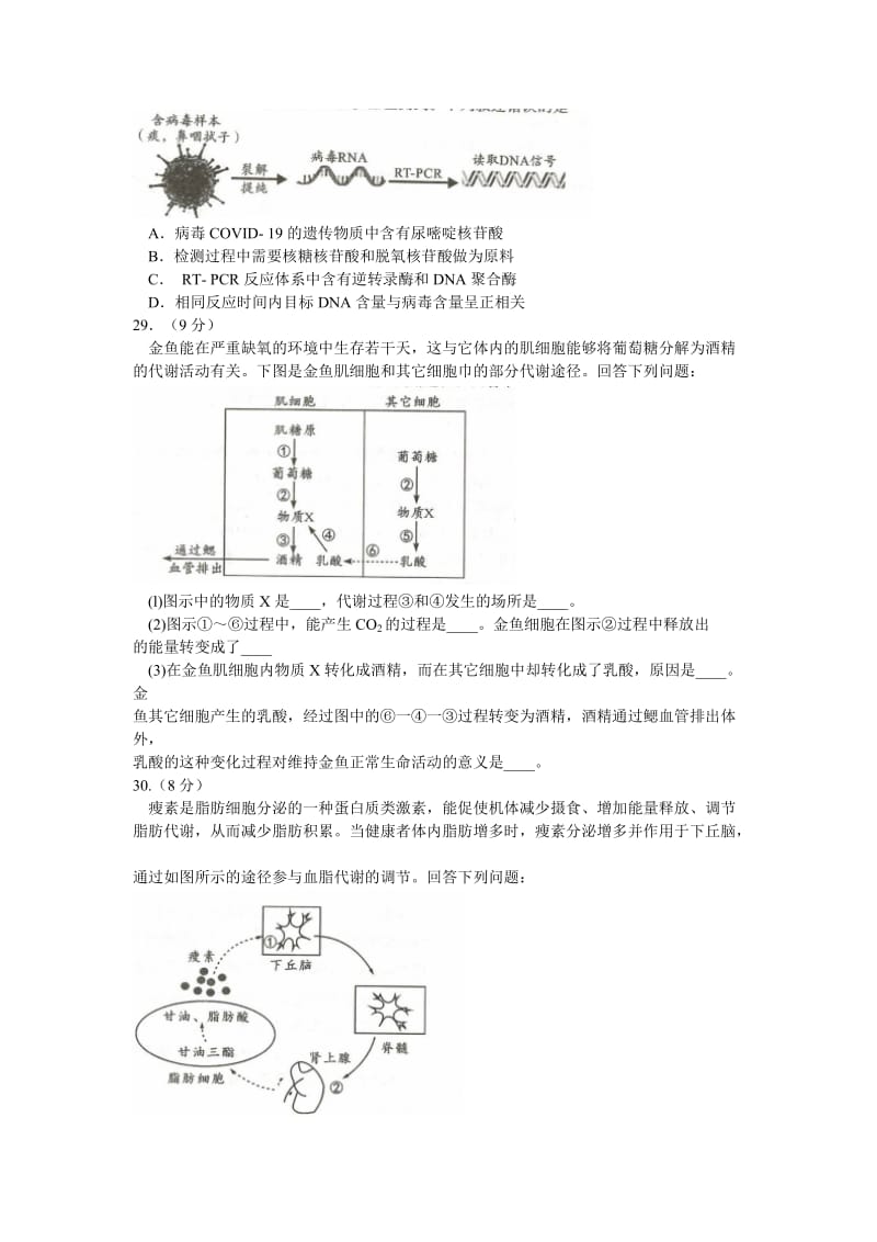 四川省成都市2020高中毕业班6月第三次诊断性检测理综生物试题.doc_第2页