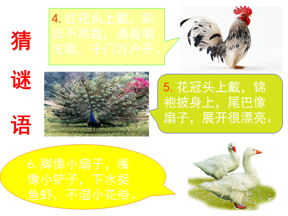 《比尾巴》教学课件2.ppt_第3页