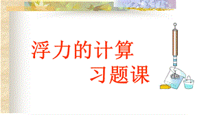 苏科版八年级下册物理第十章 四、浮力 课件(共13张PPT).ppt