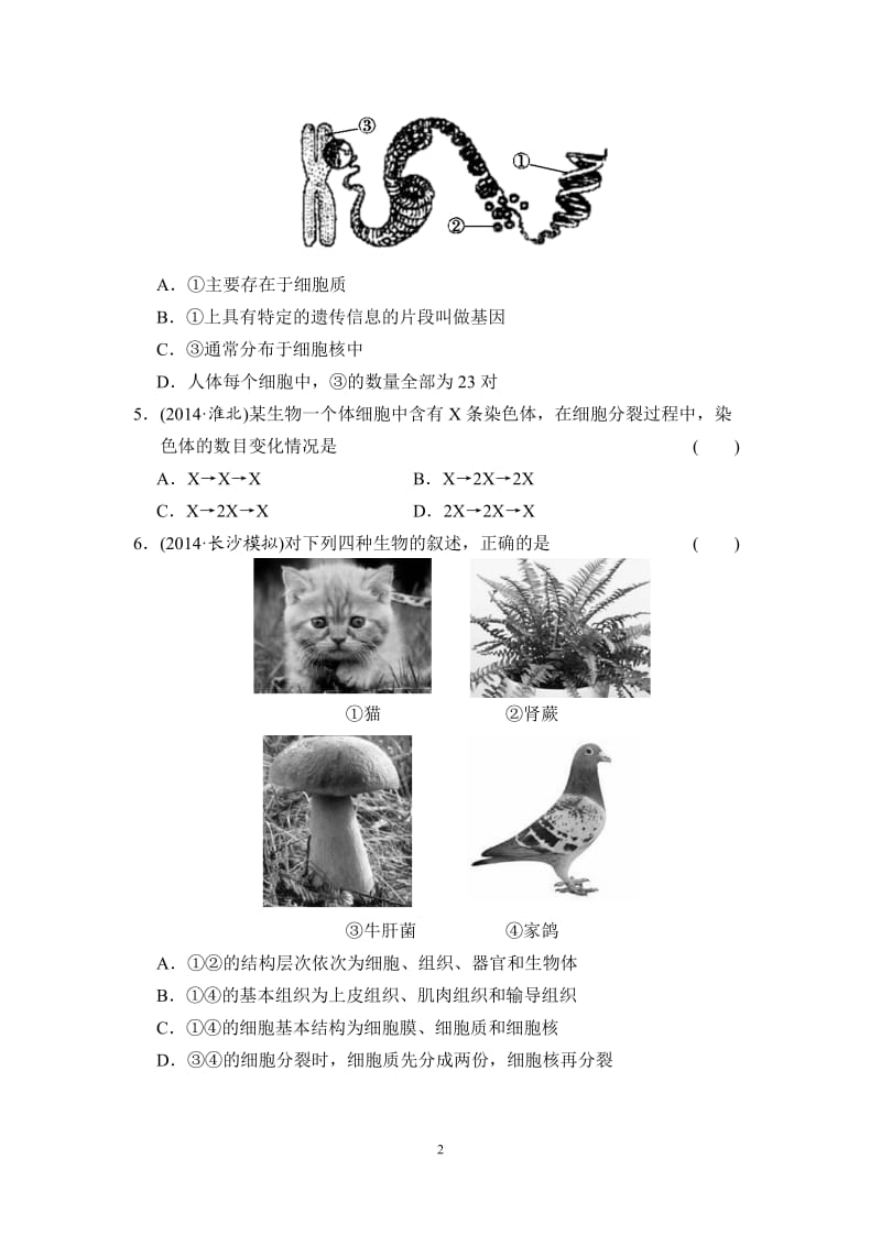 专题二生物体的结构层次.doc_第2页