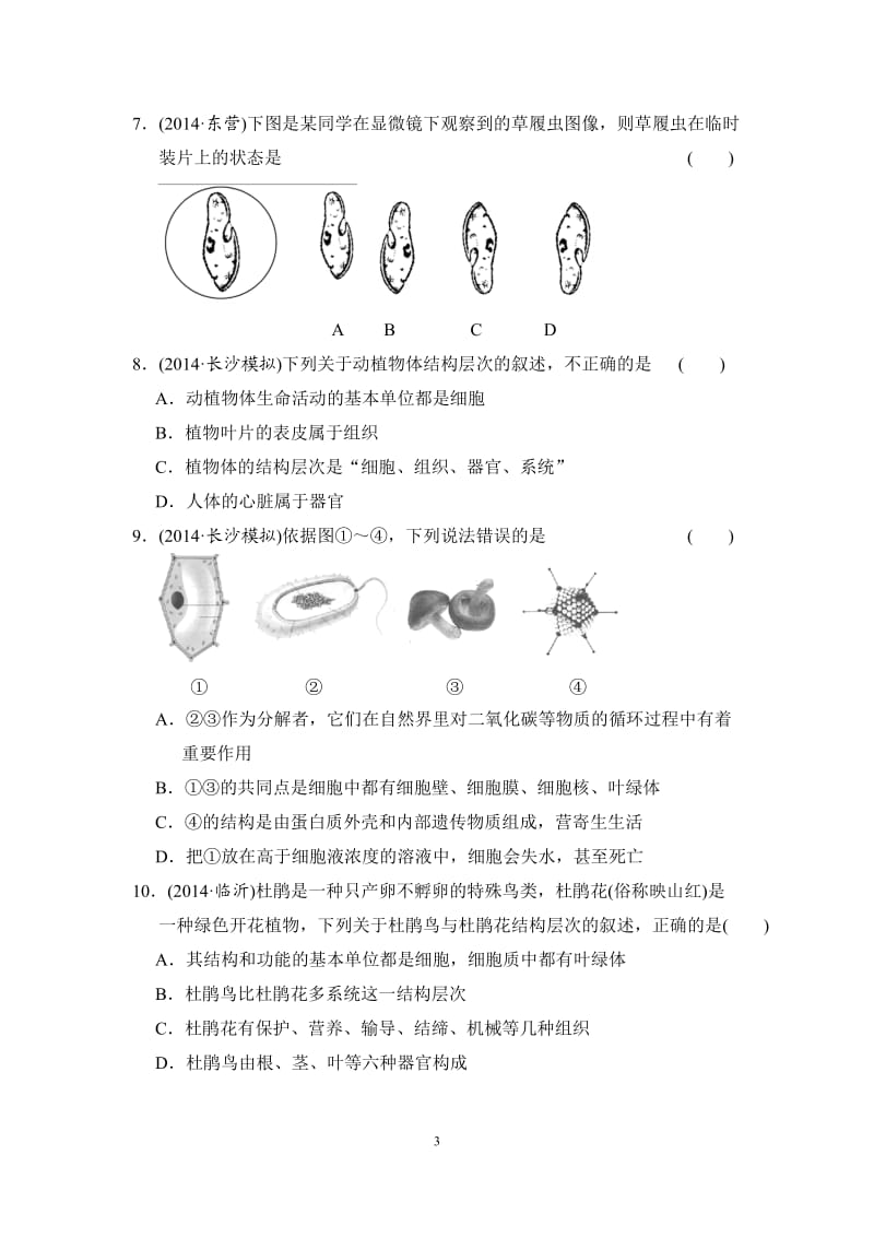 专题二生物体的结构层次.doc_第3页