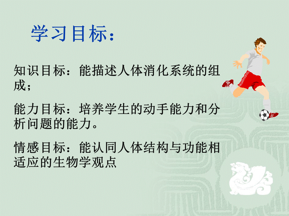 消化与吸收2.ppt_第2页