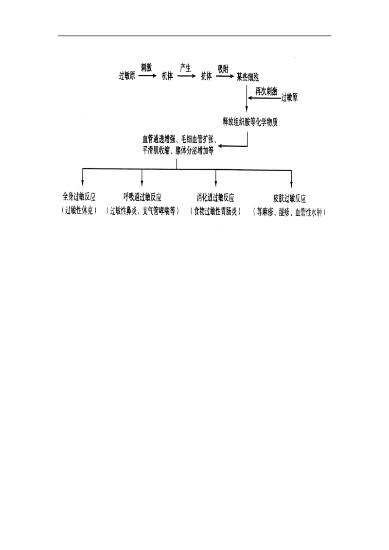 24免疫调节导学案（人教版必修3）.doc_第3页