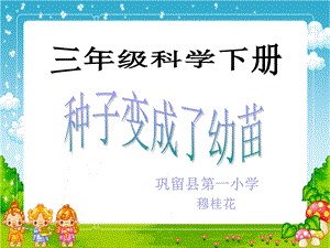 种子变成了幼苗课件-母桂花.ppt