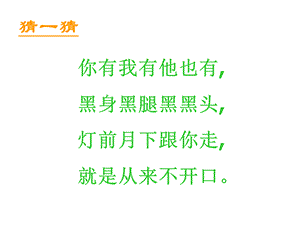 《竹影》课件2[1]（实用）.ppt