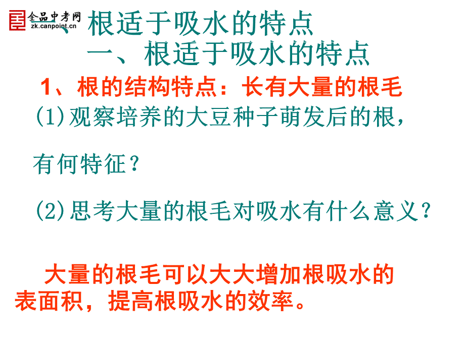 生物七年级上人教新课标332水分进入植物体内的途径课件.ppt_第3页