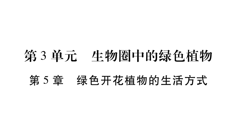 2017初中生物结业考试总复习课件第3单元生物圈中的绿色植物.pptx_第1页