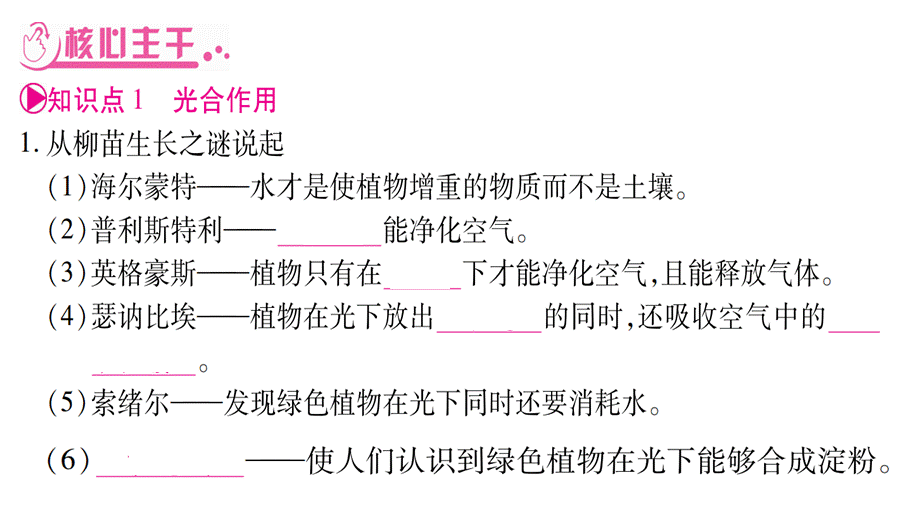 2017初中生物结业考试总复习课件第3单元生物圈中的绿色植物.pptx_第2页