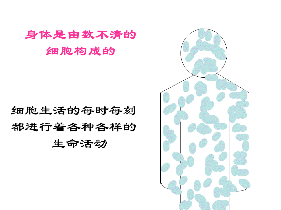 第四节细胞的生活（修改公开课）.ppt_第3页