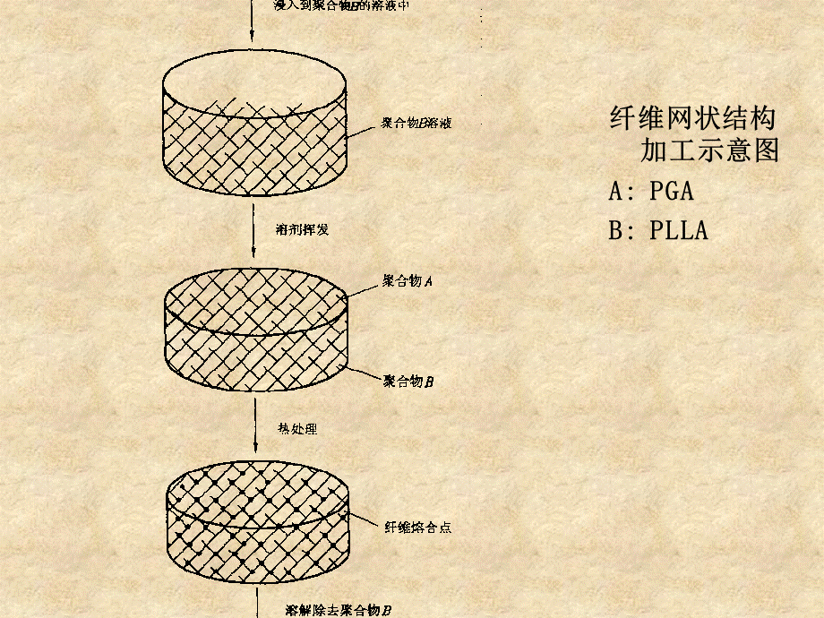 组织工程支架制备有哪些方法.ppt_第3页