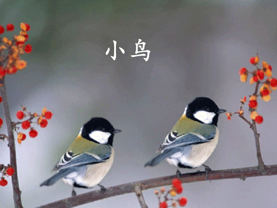 《识字3》课件(1).ppt_第3页