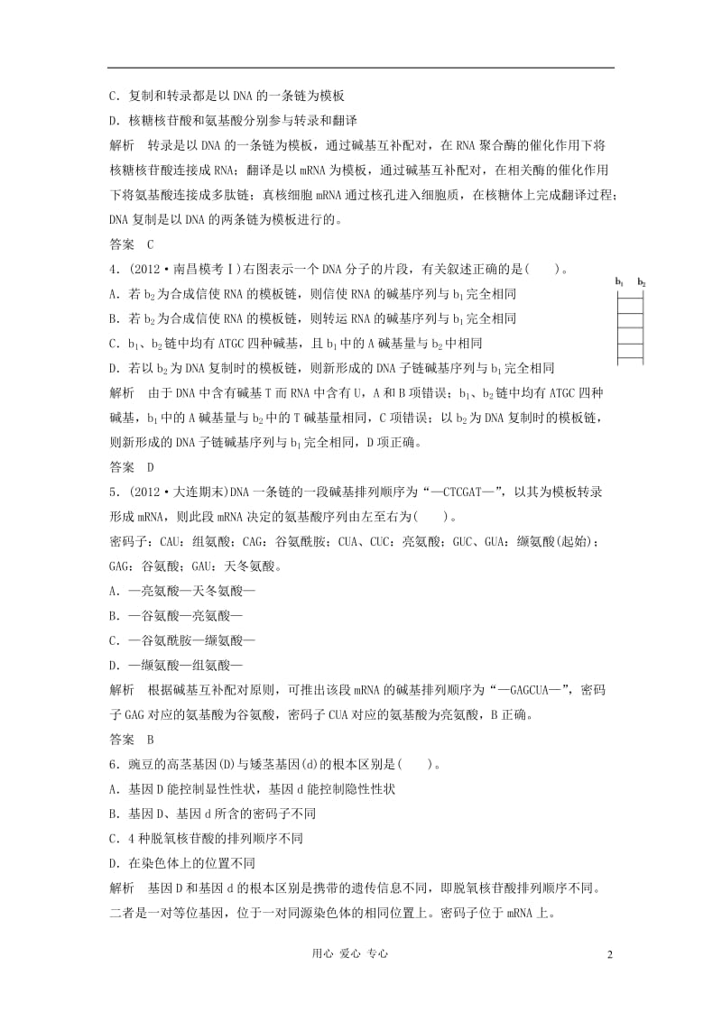 2013届高考生物一轮复习限时训练 2.2.3基因的表达.doc_第2页