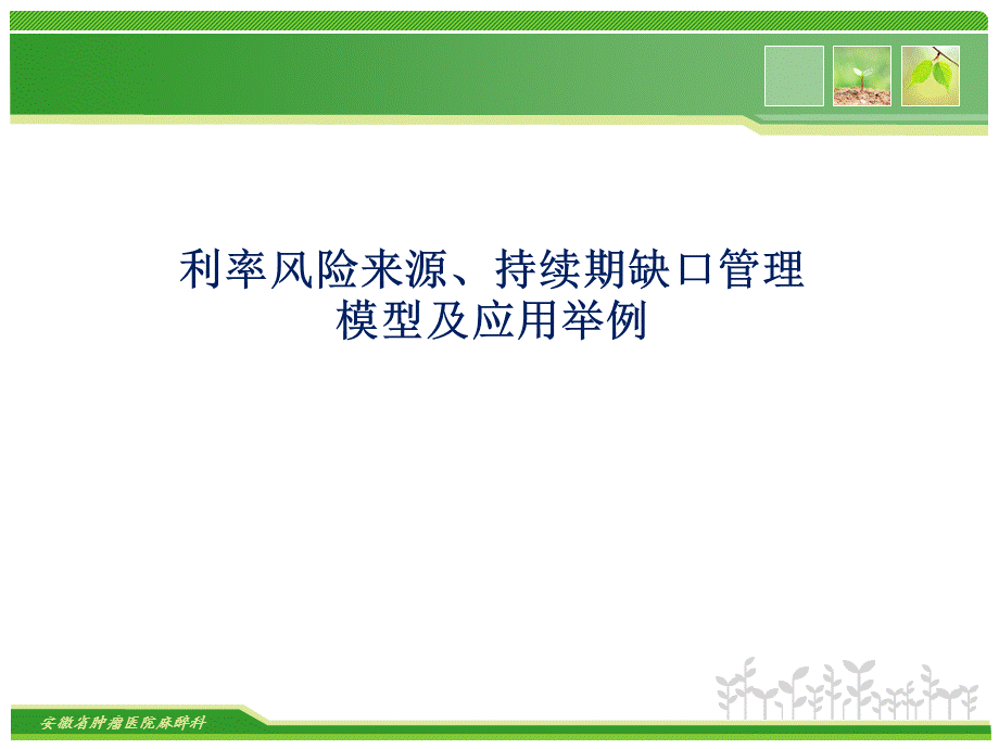 持续期缺口管理模型及其应用举例PPT课件02.ppt_第1页