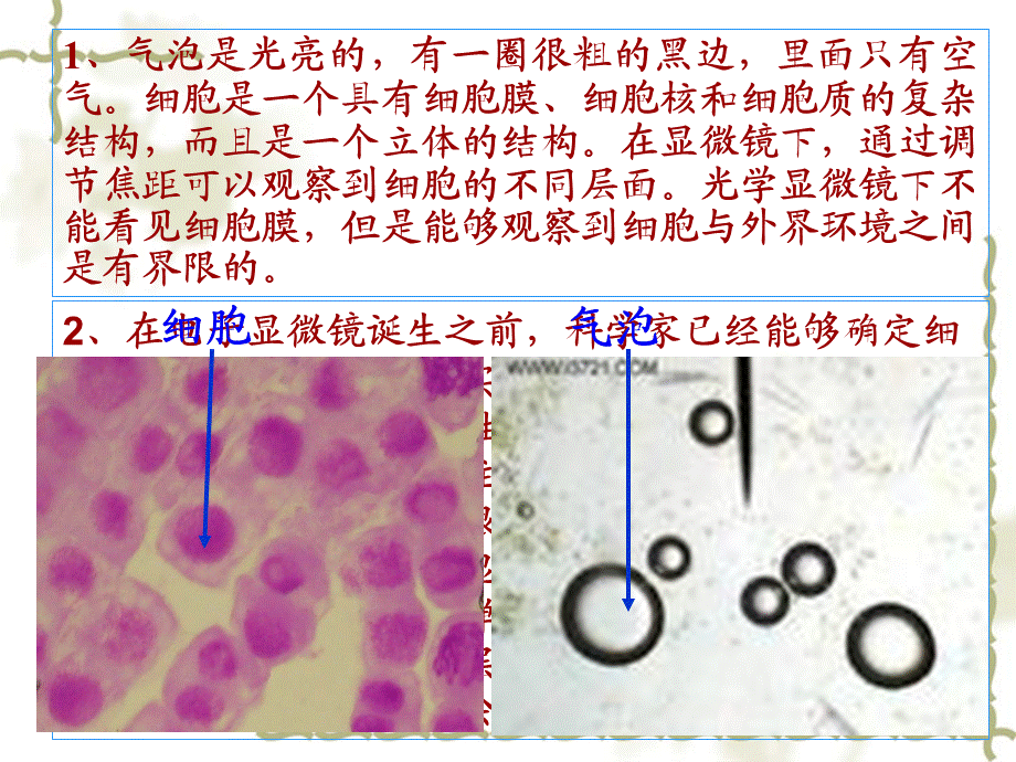 必修1第三章第1节《细胞膜--系统的边界》修改.ppt_第3页