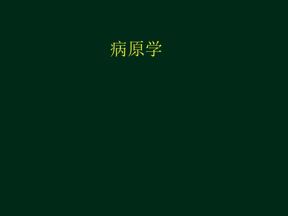 病毒性肝炎-临床医学.pptx_第2页