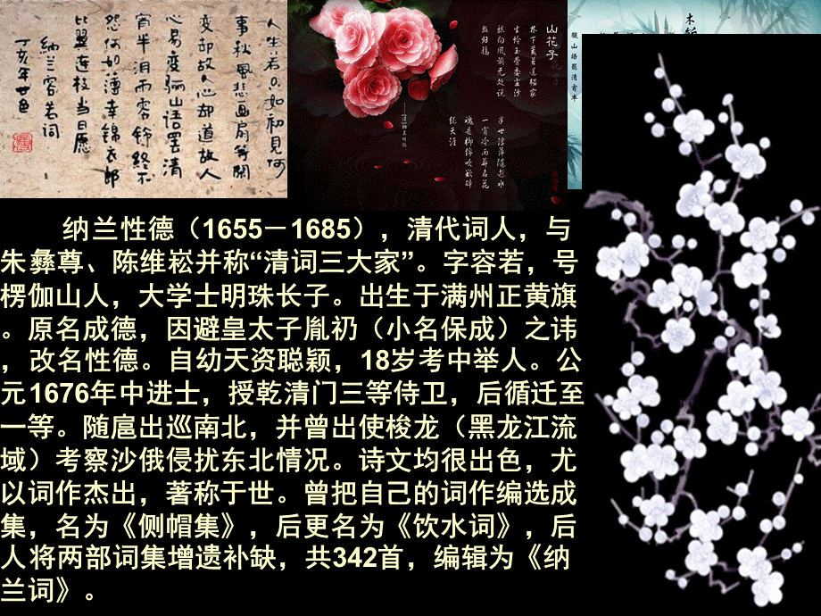 中华诗词之美诗词赏析.ppt_第3页