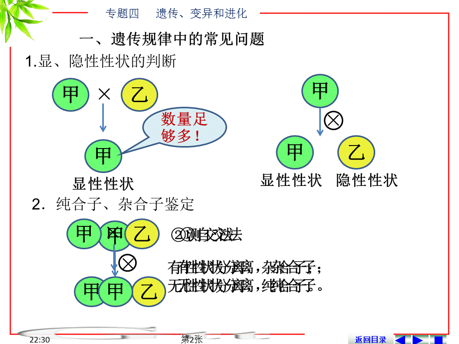 专题四(1)解决遗传规律问题的常用分析方法.ppt_第2页