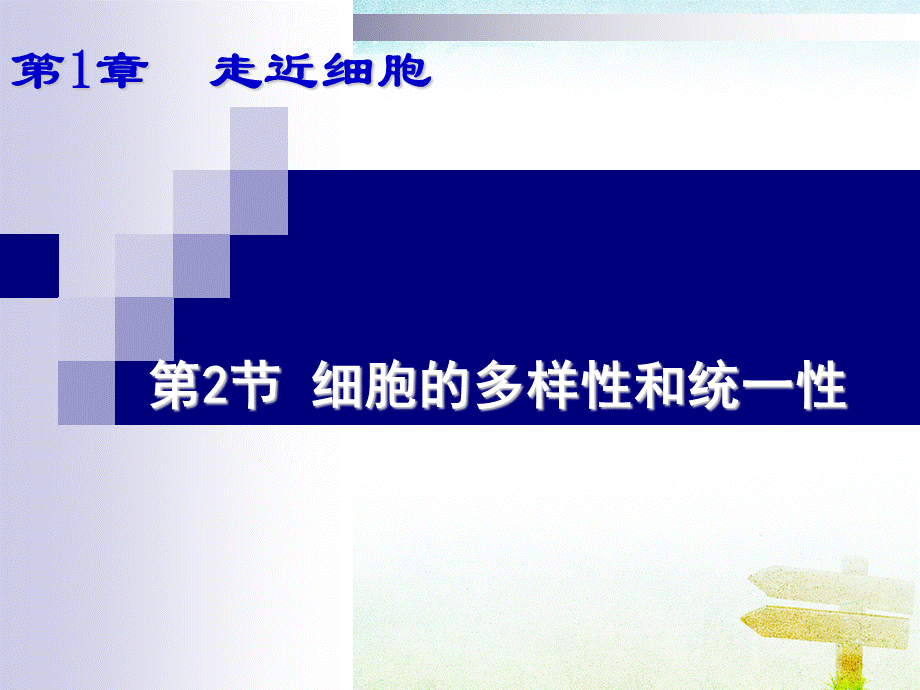 人教版生物必修1：1.2细胞的多样性统一性(共23张PPT).ppt_第1页