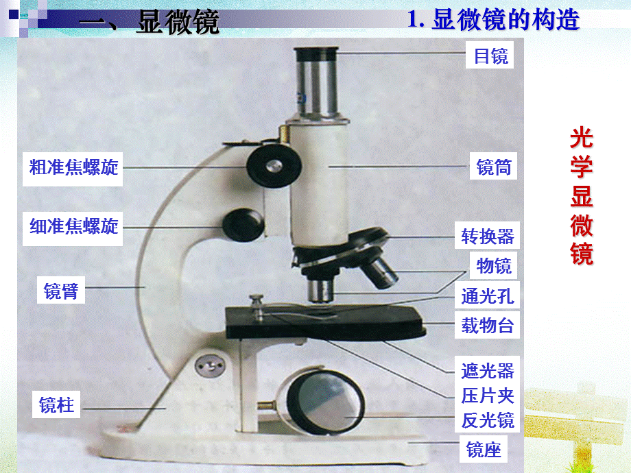 人教版生物必修1：1.2细胞的多样性统一性(共23张PPT).ppt_第3页