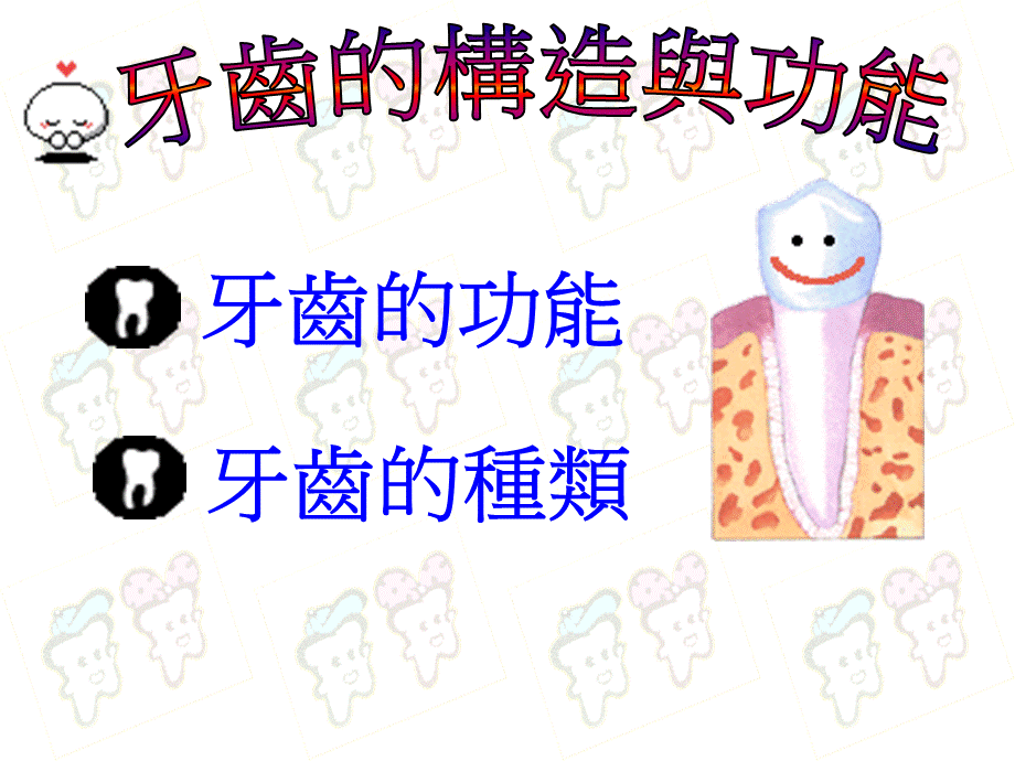 【中小学】课件 认识牙齿与牙齿保健.ppt_第2页