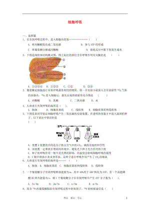 高中生物 3.4 细胞呼吸 每课一练6 浙科版必修1.doc