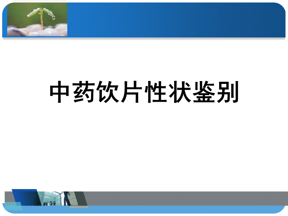 中药饮片的性状鉴别概要.ppt_第1页