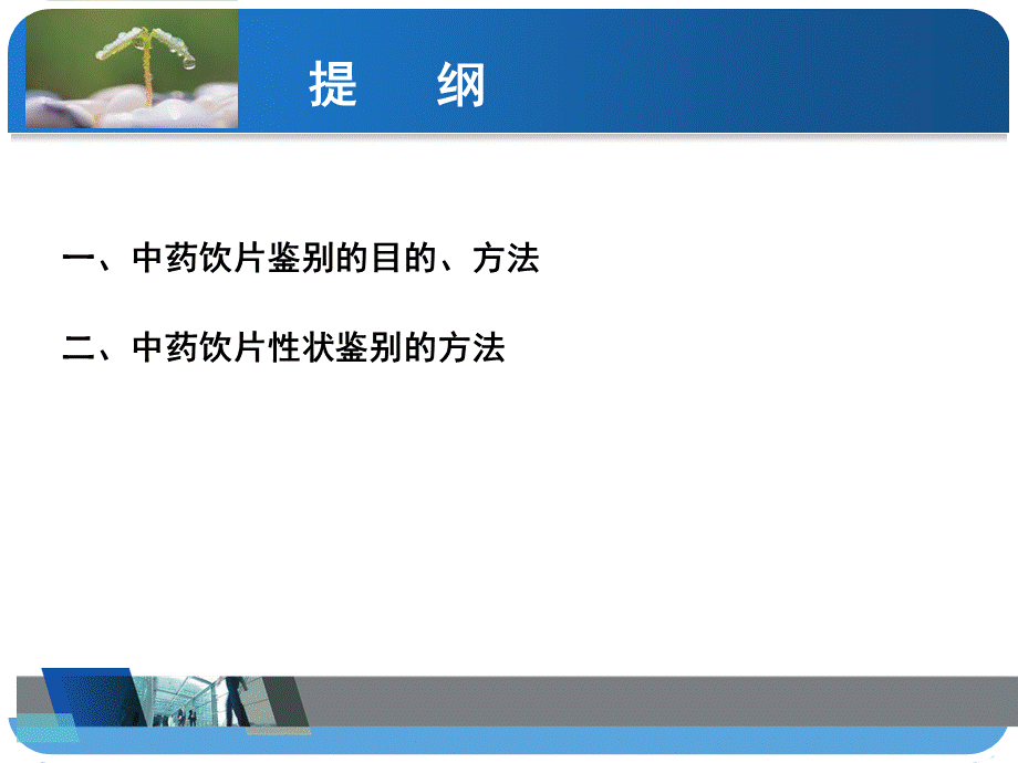 中药饮片的性状鉴别概要.ppt_第2页