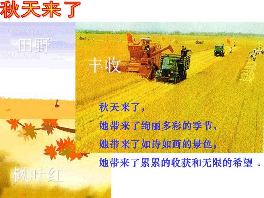 4 秋娃娃.ppt_第2页