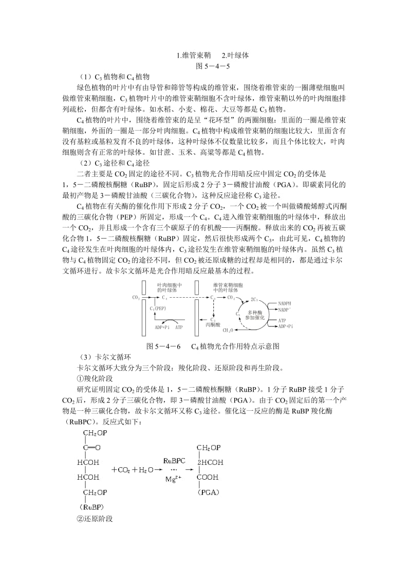 备课资料(能量之源——光与光合作用第2课时).doc_第3页