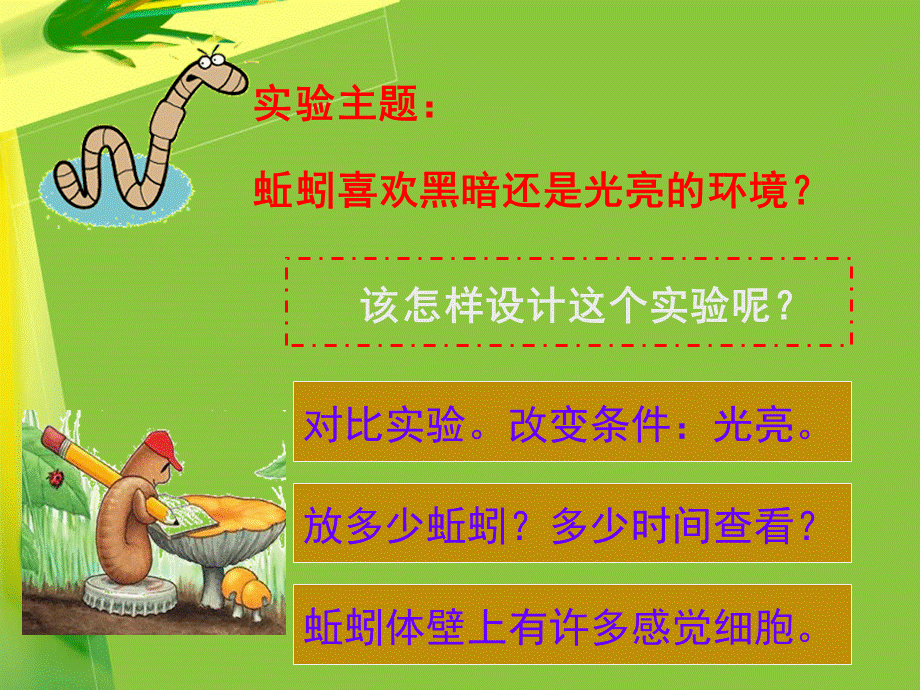 1.4 蚯蚓的选择 (.ppt_第3页