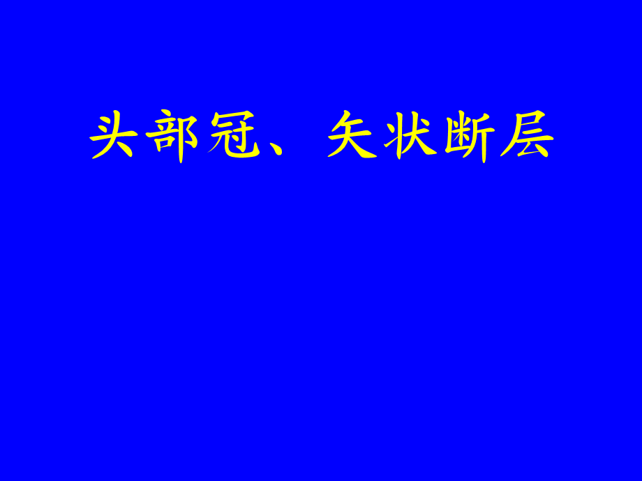 断层解剖头部冠、矢状断层.ppt_第1页