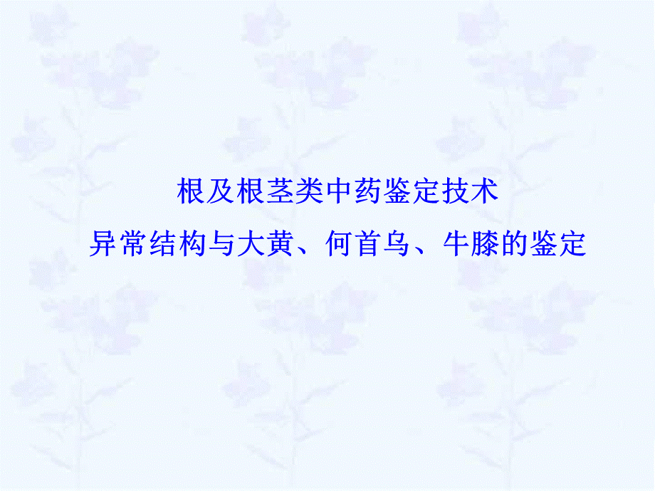 根及根茎类药材鉴定异常结构与大黄、何首乌、牛膝的鉴定.ppt_第1页