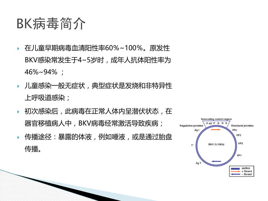 BKV病毒的检测-2017.pptx_第3页