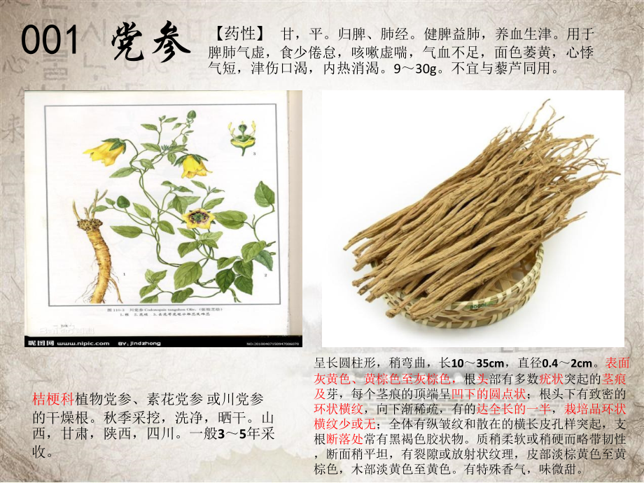 根茎类中药鉴定图文二.pptx_第1页