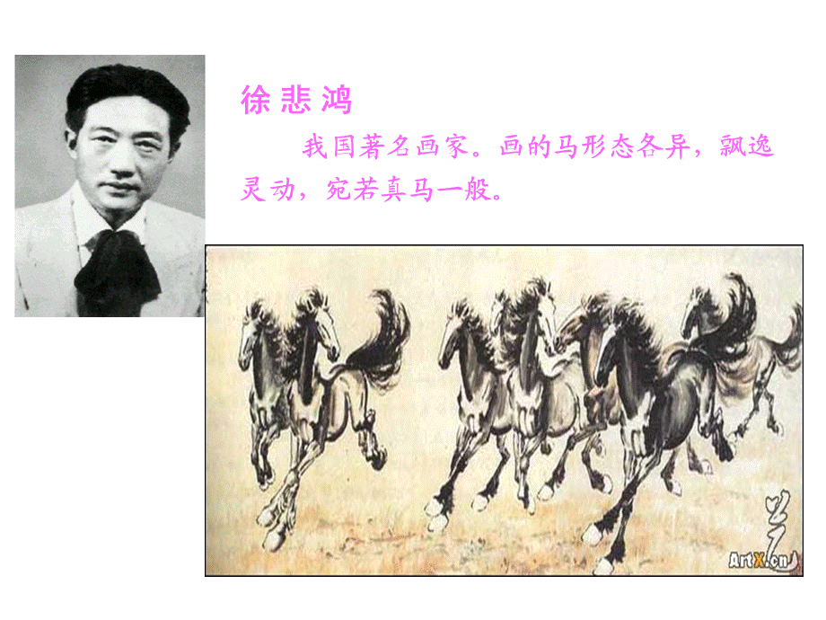 14《徐悲鸿画马》.ppt_第3页